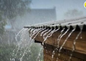 राज्यात वादळी वाऱ्यांसह पावसाचा इशारा; उत्तर महाराष्ट्रात ‘असा’ आहे हवामानाचा अंदाज