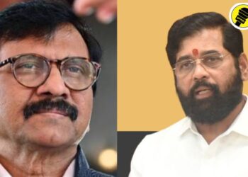 “एकनाथ शिंदे मौलवीच्या वेशात दिल्लीला गेले,” मुख्यमंत्र्यांबाबत मोठा दावा करत संजय राऊत नेमकं काय म्हणाले?