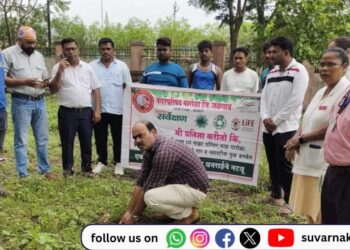 पारोळा येथे सिडबॉल्स कॅम्पेन 2024 आवाहन अंतर्गत 50 झाडांचे वृक्षारोपण व संगोपन