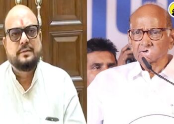 “लोकसभेचे ठोकळे हे विधानसभेत….”, मंत्री गुलाबराव पाटील शरद पवारांच्या वक्तव्यावर नेमकं काय म्हणाले?