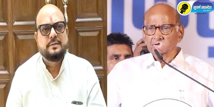 “लोकसभेचे ठोकळे हे विधानसभेत….”, मंत्री गुलाबराव पाटील शरद पवारांच्या वक्तव्यावर नेमकं काय म्हणाले?