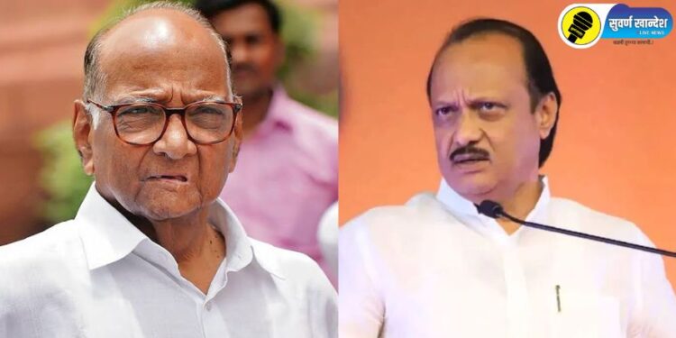 “कदाचित शरद पवार-अजित पवार एकत्र येतील,” राष्ट्रवादीच्या आमदाराचे मोठे वक्तव्य, नेमकं काय म्हणाले?