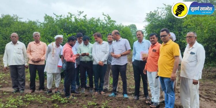 पारोळा तालुक्यात प्रांताधिकारी यांनी शेतकऱ्यांच्या बांधावर जाऊन केली ई-पीक पाहणी, काय आहे संपुर्ण बातमी?