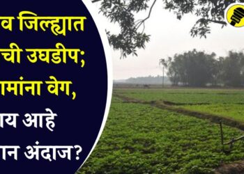 जळगाव जिल्ह्यात पावसाची उघडीप; शेतकामांना वेग, काय आहे हवामान अंदाज?