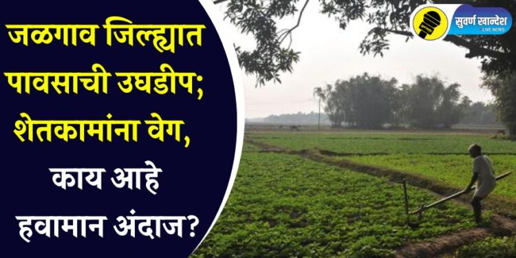 जळगाव जिल्ह्यात पावसाची उघडीप; शेतकामांना वेग, काय आहे हवामान अंदाज?
