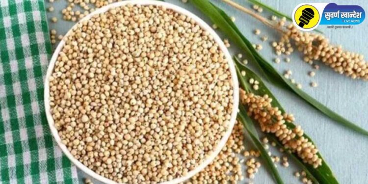 शेतकऱ्यांची ज्वारी खरेदीचा मार्ग मोकळा; शासनाकडून मुदतवाढ, रोहित निकम यांची माहिती