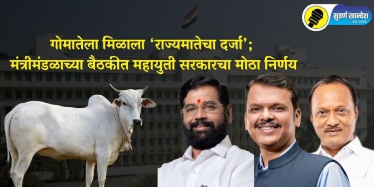 गोमातेला मिळाला ‘राज्यमातेचा दर्जा’; मंत्रीमंडळाच्या बैठकीत महायुती सरकारचा मोठा निर्णय