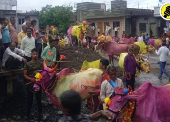 Pola 2024 : पाचोरा तालुक्यातील वडगाव कडे येथे पोळा सण उत्साहात साजरा