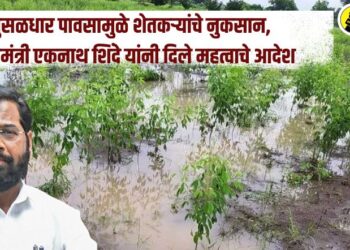 मुसळधार पावसामुळे शेतकऱ्यांचे नुकसान, मुख्यमंत्री एकनाथ शिंदे यांनी दिले महत्वाचे आदेश