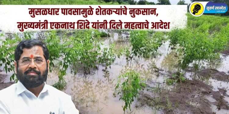 मुसळधार पावसामुळे शेतकऱ्यांचे नुकसान, मुख्यमंत्री एकनाथ शिंदे यांनी दिले महत्वाचे आदेश
