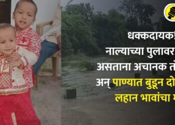 धक्कदायक! नाल्याच्या पुलावर खेळत असताना अचानक तोल गेला अन् पाण्यात बुडून दोन सख्या लहान भावांचा मृत्यू