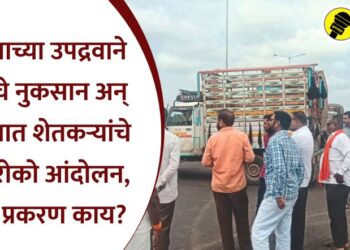 अज्ञाताच्या उपद्रवाने शेतीचे नुकसान अन् पारोळ्यात शेतकऱ्यांचे रास्ता रोको आंदोलन, नेमकं प्रकरण काय?