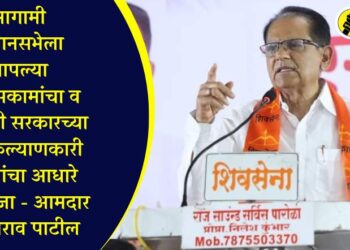 आगामी विधानसभेला आपल्या विकासकामांचा व महायुती सरकारच्या लोककल्याणकारी योजनांचा आधारे सामोरे जा – आमदार चिमणराव पाटील