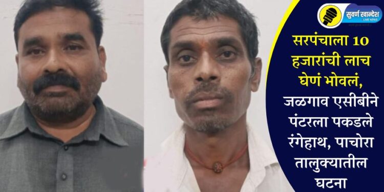 सरपंचाला 10 हजारांची लाच घेणं भोवलं, जळगाव एसीबीने पंटरला पकडले रंगेहाथ, पाचोरा तालुक्यातील घटना