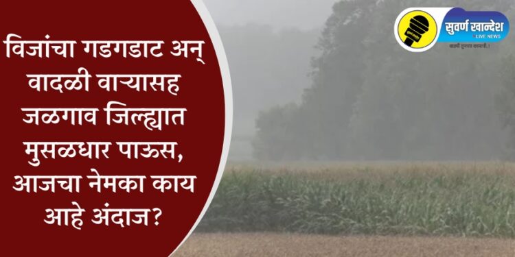 विजांचा गडगडाट अन् वादळी वाऱ्यासह जळगाव जिल्ह्यात मुसळधार पाऊस, आजचा नेमका काय आहे अंदाज?