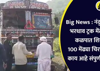 Big News : नंदुरबारमध्ये भरधाव ट्रक मेंढ्यांच्या कळपात शिरला; 100 मेंढ्या चिरडून ठार, काय आहे संपुर्ण बातमी?