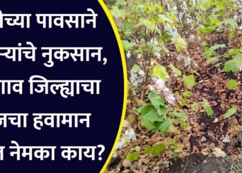 परतीच्या पावसाने शेतकऱ्यांचे नुकसान, जळगाव जिल्ह्याचा आजचा हवामान अंदाज नेमका काय?