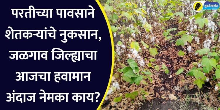 परतीच्या पावसाने शेतकऱ्यांचे नुकसान, जळगाव जिल्ह्याचा आजचा हवामान अंदाज नेमका काय?