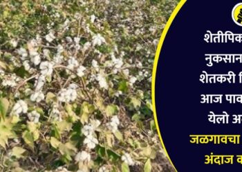 शेतीपिकांच्या नुकसानामुळे शेतकरी चिंतेत, आज पावसाचा येलो अलर्ट, जळगावचा हवामान अंदाज काय?