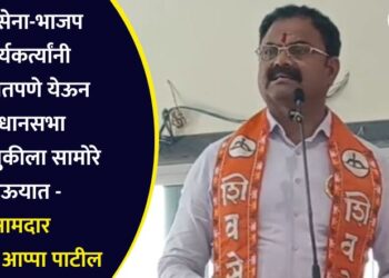 शिवसेना-भाजप कार्यकर्त्यांनी एकत्रितपणे येऊन विधानसभा निवडणुकीला सामोरे जाऊयात – आमदार किशोर आप्पा पाटील