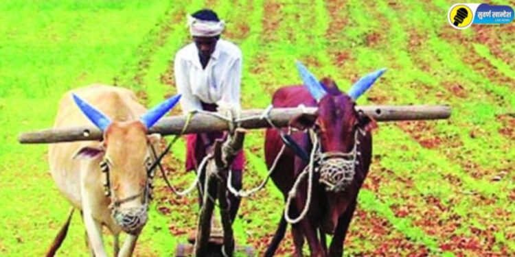 फाईल फोटो