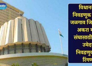 विधानसभा निवडणूक 2024 : जळगाव जिल्ह्यातील अकरा मतदार संघासाठी ‘इतके’ उमेदवार निवडणुकीच्या रिंगणात