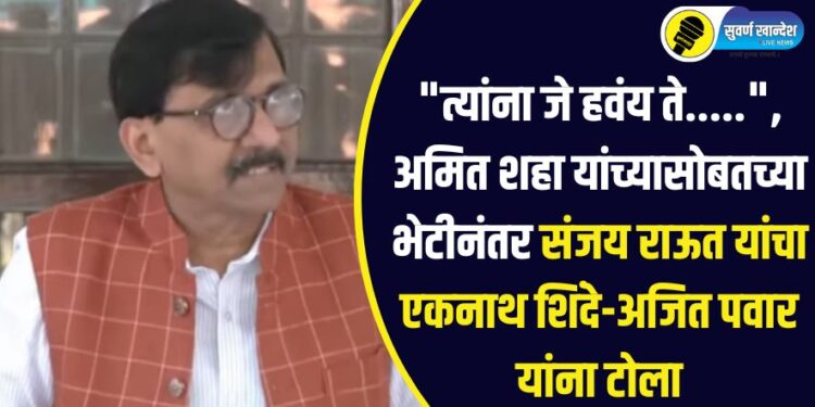 “त्यांना जे हवंय ते…..”, अमित शहा यांच्यासोबतच्या भेटीनंतर संजय राऊत यांचा एकनाथ शिंदे-अजित पवार यांना टोला