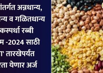 राज्यांतर्गत अन्नधान्य, कडधान्य व गळितधान्य पिकस्पर्धा रब्‍बी हंगाम – 2024 साठी ‘या’ तारखेपर्यंत करता येणार अर्ज