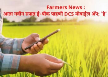 Farmers News : आता नवीन रुपात ई-पीक पाहणी DCS मोबाईल अ‍ॅप; ‘हे’ आहेत बदल
