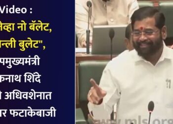 Video : “….तेव्हा नो बॅलेट, ओन्ली बुलेट”, उपमुख्यमंत्री एकनाथ शिंदे यांची अधिवशेनात जोरदार फटाकेबाजी