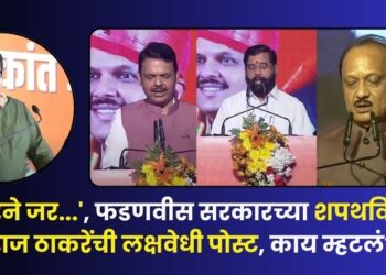 Raj Thackeray post after oath ceremony of Fadnavis government