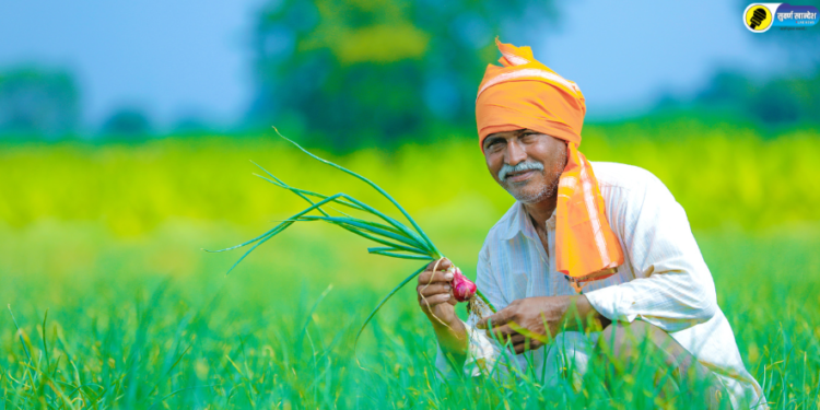 Important news for farmers this is last date to avail the benefit of crop insurance scheme for Rabi season