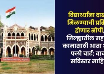 There will now be flow chart for revenue work in Jalgaon district