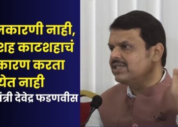 devendra fadnavis cm nagpur media interaction