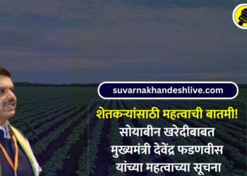 शेतकऱ्यांसाठी महत्वाची बातमी! सोयाबीन खरेदीबाबत मुख्यमंत्री देवेंद्र फडणवीस यांच्या महत्वाच्या सूचना