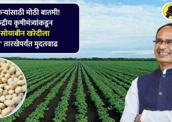 Big news for farmers Union Agriculture Minister extends soybean procurement deadline know new date