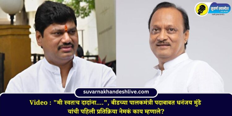 Video : “मी स्वतःच दादांना….”, बीडच्या पालकमंत्री पदाबाबत धनंजय मुंडे यांची पहिली प्रतिक्रिया नेमकं काय म्हणाले?