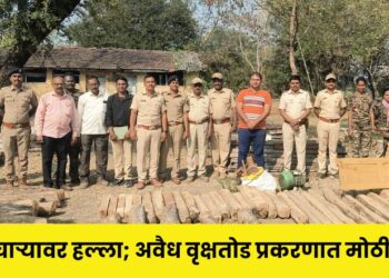 Attack on forest employee Major action in illegal tree felling case Chopda News