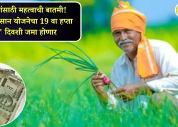 शेतकऱ्यांसाठी महत्वाची बातमी! पीएम किसान योजनेचा 19 वा हप्ता ‘या’; दिवशी जमा होणार