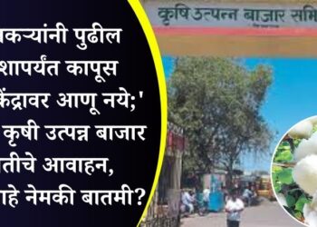 ‘शेतकऱ्यांनी पुढील आदेशापर्यंत कापूस खरेदी केंद्रावर आणू नये;’ पाचोरा कृषी उत्पन्न बाजार समितीचे आवाहन, काय आहे नेमकी बातमी?