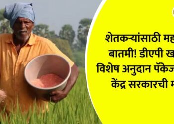 Important news for farmers! Central government approves special subsidy package on DAP fertilizer