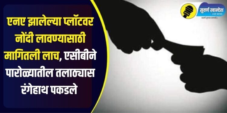 Bribe demanded in exchange for registration of NA plots Talathi Arrested