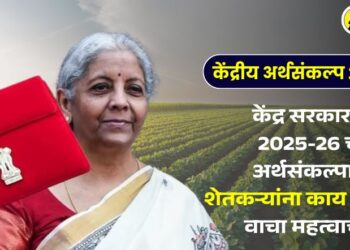 केंद्र सरकारच्या 2025-26 च्या अर्थसंकल्पातून शेतकऱ्यांना काय मिळालं?, वाचा महत्वाचे मुद्दे