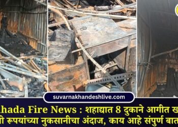 Shahada Fire News : शहाद्यात 8 दुकाने आगीत खाक, लाखो रूपयांच्या नुकसानीचा अंदाज, काय आहे संपुर्ण बातमी?