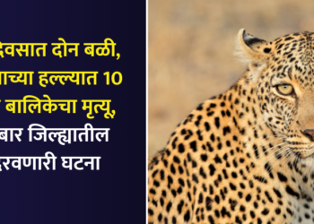 Two death in two days 10-year-old girl dies in leopard attack incident in Nandurbar district