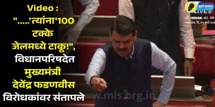 Video : “…..’त्यांना’100 टक्के जेलमध्ये टाकू!”, विधानपरिषदेत मुख्यमंत्री देवेंद्र फडणवीस विरोधकांवर संतापले