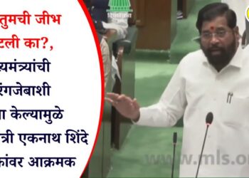 “…तुमची जीभ छाटली का?, मुख्यमंत्र्यांची औरंगजेबाशी तुलना केल्यामुळे उपमुख्यमंत्री एकनाथ शिंदे विरोधकांवर आक्रमक