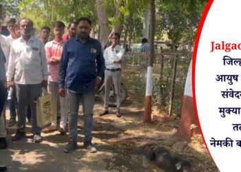 Jalgaon News : जिल्हाधिकारी आयुष प्रसाद यांची संवेदनशीलता; मुक्या जीवांसाठी तत्परता, नेमकी बातमी काय?