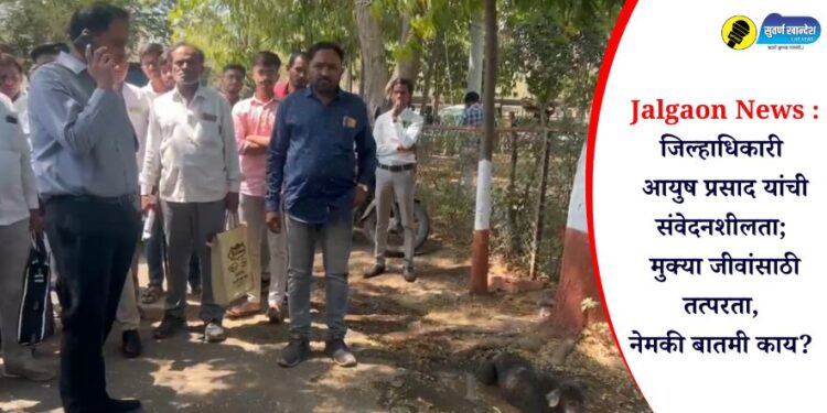 Jalgaon News : जिल्हाधिकारी आयुष प्रसाद यांची संवेदनशीलता; मुक्या जीवांसाठी तत्परता, नेमकी बातमी काय?