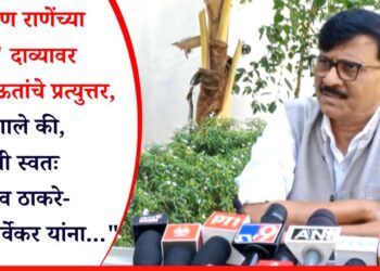 नारायण राणेंच्या ‘त्या’ दाव्यावर संजय राऊतांचे प्रत्युत्तर, म्हणाले, “मी स्वतः उद्धव ठाकरे-मिलिंद नार्वेकर यांना…”